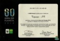 /album/hora-do-planeta/certificado-wwf-jpg1/